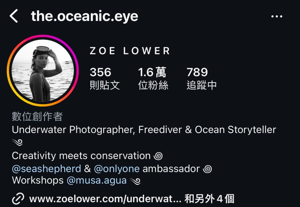 Ig 粉絲增加方法：優化 ig 個人檔案